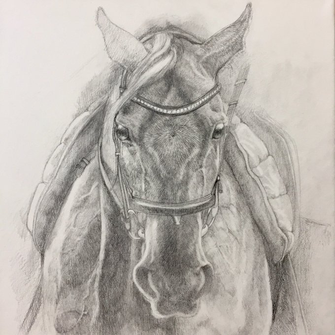 Itsumi 斉藤いつみ 馬の絵画家さん がハッシュタグ 鉛筆画 をつけたツイート一覧 1 Whotwi グラフィカルtwitter分析 Itsumi 斉藤いつみ 馬の絵画家さん がハッシュタグ 鉛筆画 をつけたツイート一覧 1 Whotwi グラフィカルtwitter分析
