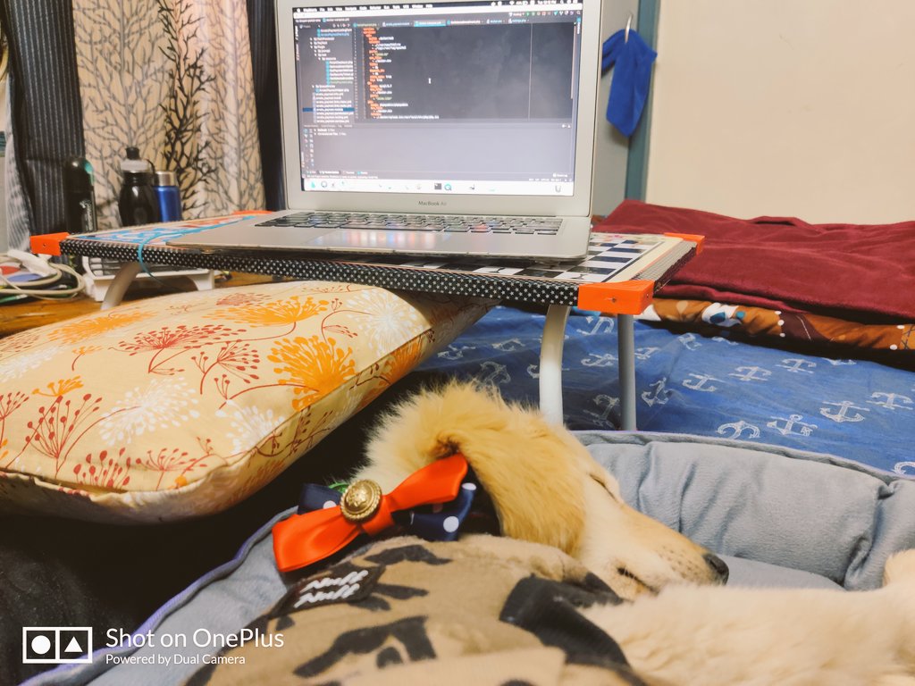 bibliophileaxe's tweet photo. Just another winter morning.
#remotework #remoteworking #petparent #dogsoftwitter #petsofaxelerant https://t.co/UOhbr9Cu9e