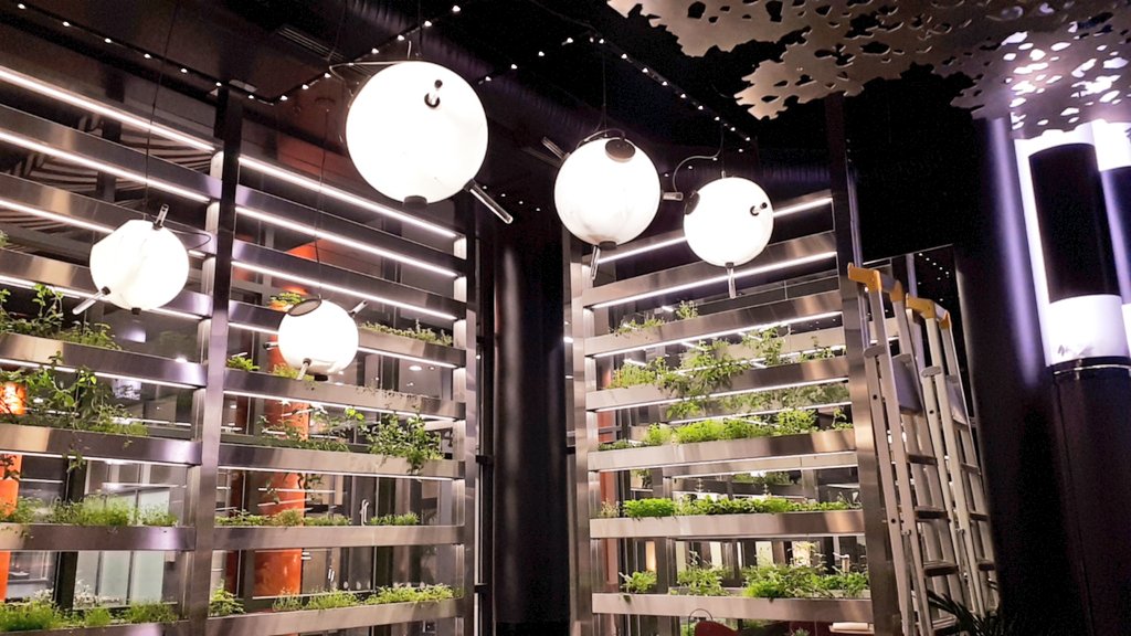 MichelinGuideUK's tweet image. You can’t get much more #local and #sustainable than hydroponics within the restaurant itself
Ultima @finnishdevil66 #Helsinki
by @HenriAlen &amp;amp; @TuominenTommi
(New to the selection 2020)