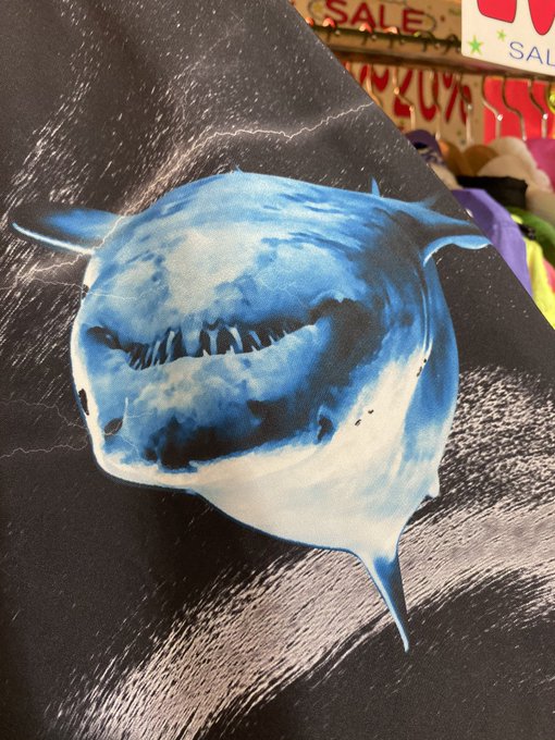 シャークのtwitterイラスト検索結果