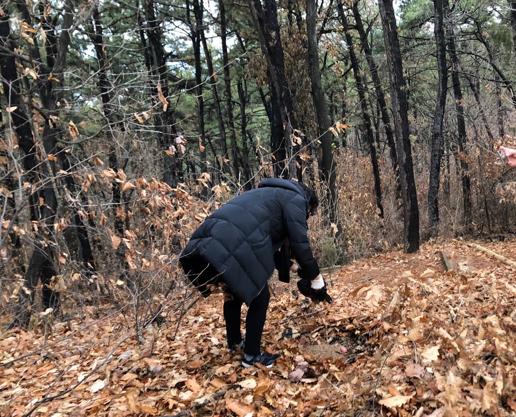 shortbread_s's tweet photo. #성남시 이매2동 주민자치위원회 주관 2019년 야생동물 먹이주기 행사가 주민 여러분들의 참여로 성공적으로 끝났습니다. 동물들이 겨울을 따뜻하게 보낼 수 있기를 소망해봅니다~ https://t.co/M5LYdPBqGv