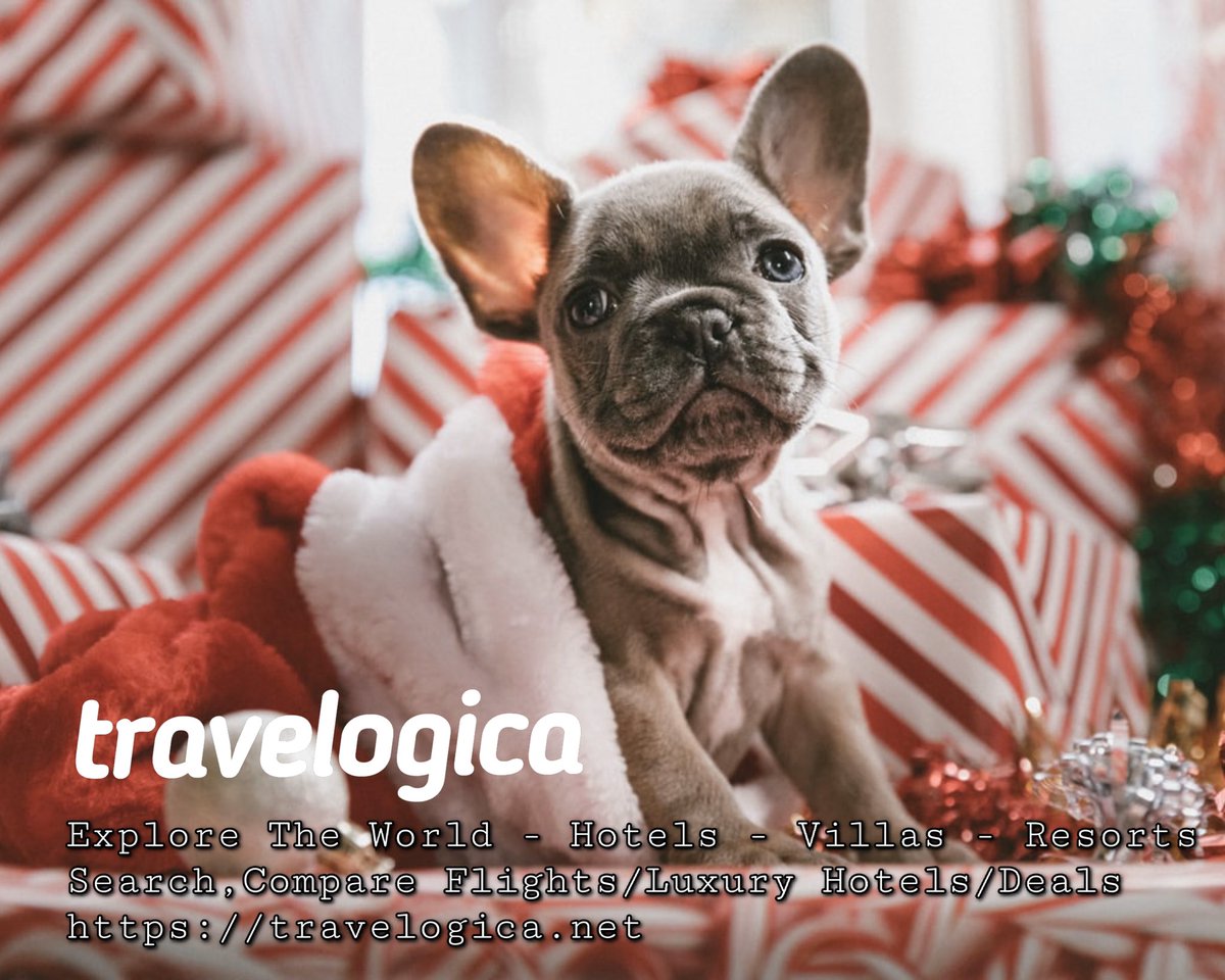 Find and compare cheap flights and hotels Worldwide! Get up to 70% OFF travelogica.net  #Flight #beach #Dubai #Vegas #Newyork #london #uk #travel #traveltips #TravelDealTuesday #Travelers #Beach #traveling #holiday #agency  travelogica.net
