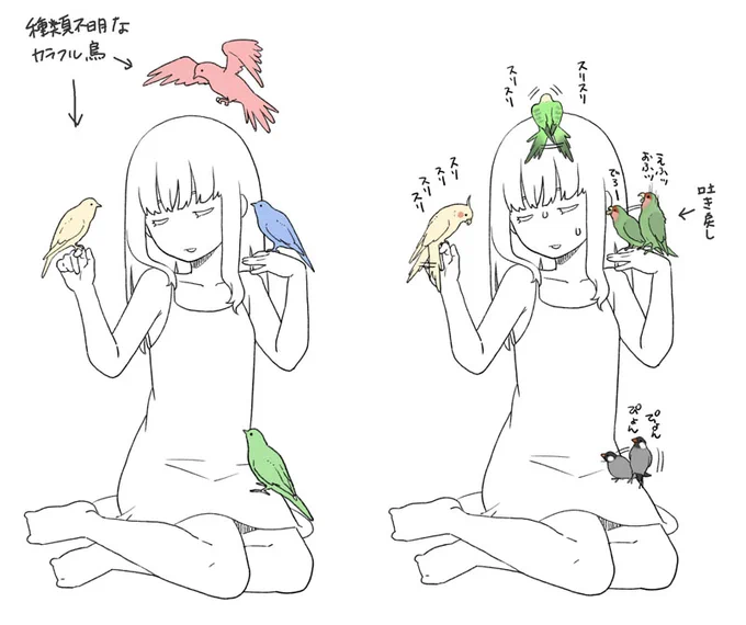 『小鳥に好かれるキャラ』って左みたいなイメージだと思うんだけど、インコ飼うようになってから右のイメージがパッと浮かんで「ちょっと大変そう」ってなる 