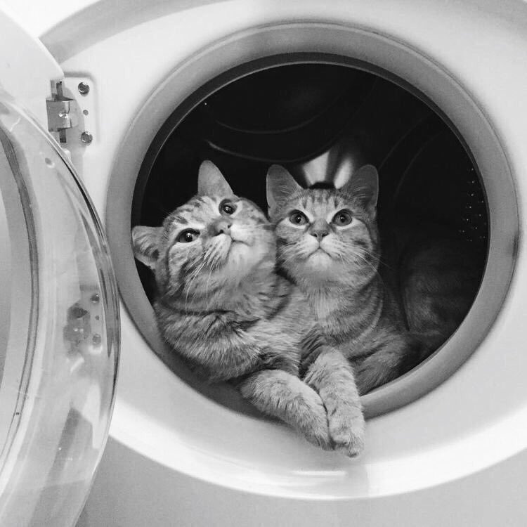 10/10 siyah beyaz (@ononsiyahbeyaz) on Twitter photo 