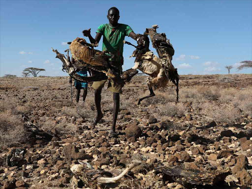 faystandard's tweet photo. The construction of dam stopped due to corruption in Kenya could have alleviated food insecurity in Kenya. Whats your opinion? #ZeroHungerCHATKE#SDG2 https://t.co/H8LBg49ya7