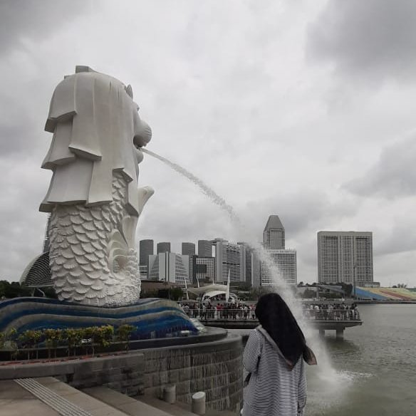 YPS on Twitter: "12.12.2019&hellip;