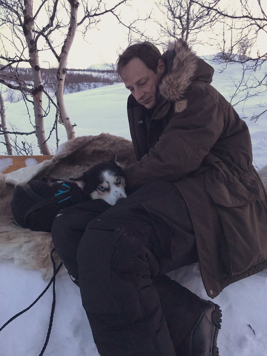 Cross-country skiing across #Abisko National Park with Outback Abisko - then warming up by the fire in the lavvu and with special husky cuddles.
