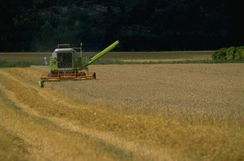 CommoditiesAgri's tweet photo. Agriculture and Commodity Inspection services and Certification
#Agriculture #commodity #inspection #services
#Agricultureinspection #commodityinspection
 
https://t.co/lbNGj0dqFp https://t.co/79WYIYl24Q
