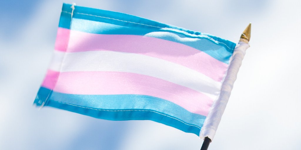 ILGAEurope's tweet photo. Trans activists are demanding the government in #Lithuania to include ‘gender identity’ and ‘gender expression’ in the proposed amendments to the Labour Code and the Law on Equal Opportunities. Help them achieve their goal by signing the petition: https://t.co/r489ivyPtI https://t.co/S3sNZFiQpQ