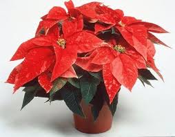 EnterWM tweet picture