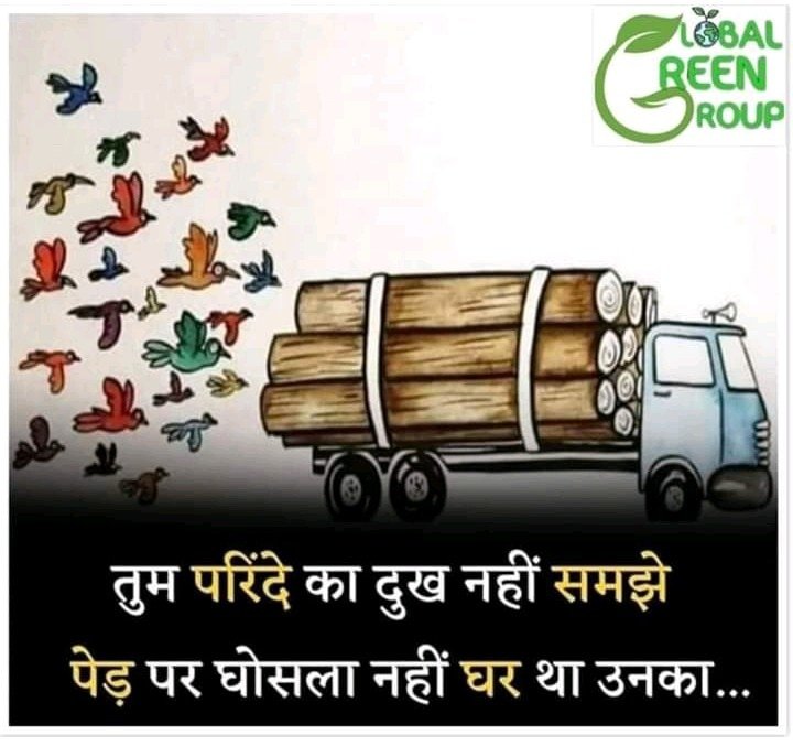 Sandeepkapoor01's tweet photo. #PleaseSaveTrees🙏🌳 "तुम्हारी समझ में तो, तुमने बस कुछ पेड़ ही काटे थे पर तुम्हें क्या पता कि उस दिन तुमने कितनों के घर भी उजाड़े थे। " 🕊️🕊️🕊️🕊️🕊️ 🌴🌴🌴🌴🌴🕊️🕊️🕊️🕊️ https://t.co/l3zYi9kdtY