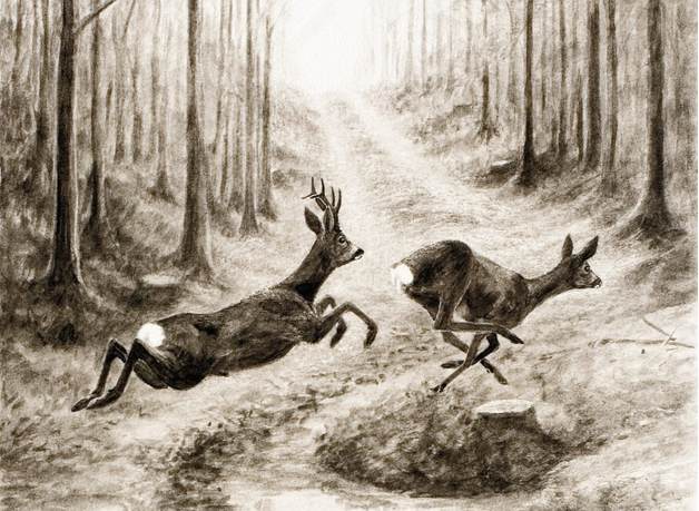 ¿Sin ideas para regalar a un cazador, o a cualquier amante del campo estas navidades? Arte cinegético del Maestro Josechu Lalanda. Éxito asegurado. #caza #arteycaza Lo puedes encontrar en su web:
jlalanda.com
Más información: <a href="/eajlalanda/">Estudio Artístico J. Lalanda</a>