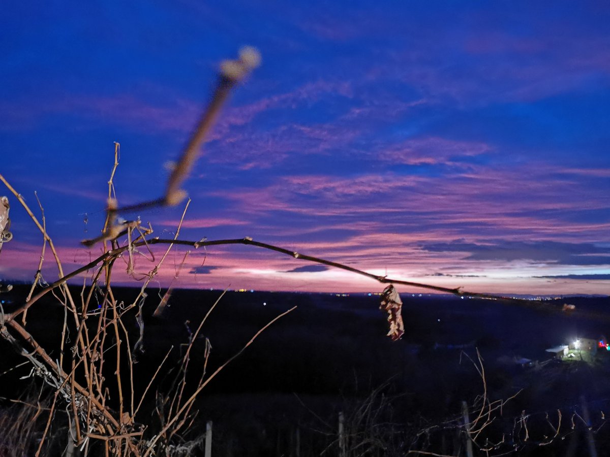 tjasakos's tweet photo. Obožujem sončne vzhode.
#sunrise #vineyard #jeruzalem #jeruzalemslovenija #nature #lovethislife #lifestyle #havinggoodtime #beautiful https://t.co/FwYxkFvUAJ