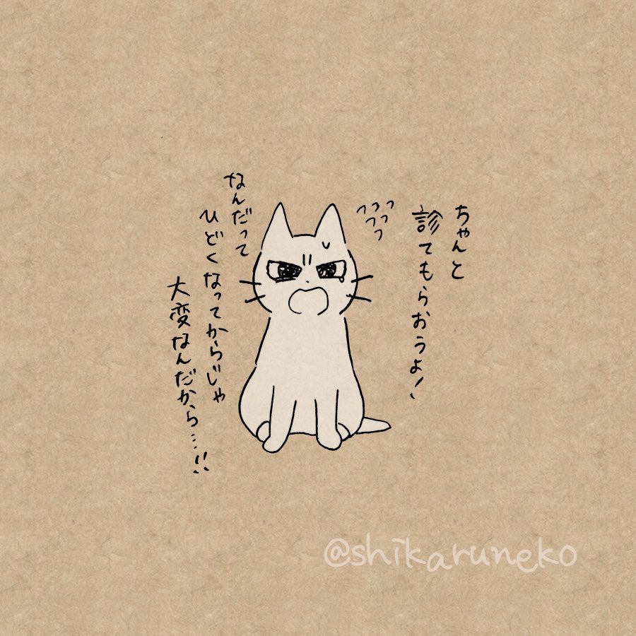 不調があるのになかなか病院に行かない人と、しかるねこと、あまやかすねこ 