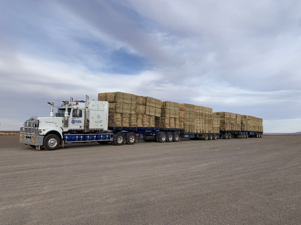 Joel Daniel tweet media