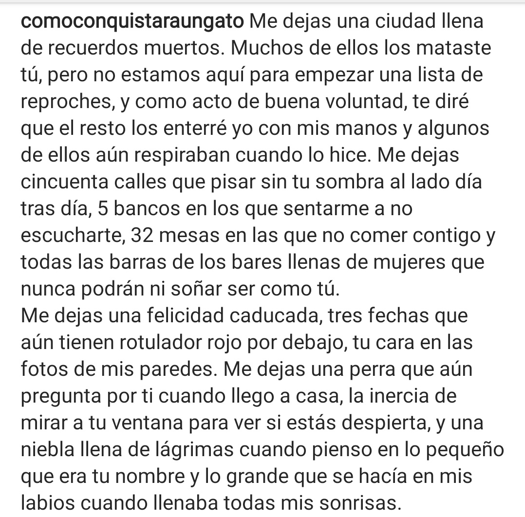 conquistar1gato's tweet photo. Me dejas todas las preguntas que no pude hacerte https://t.co/JnTrM8ZMi0