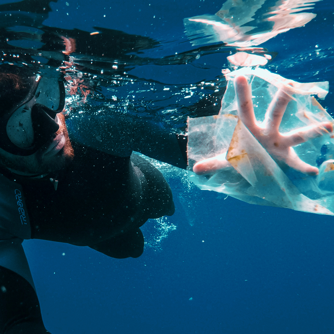 Did you know? Plastic waste can promote microbial colonization by pathogens implicated in outbreaks of disease in the ocean. More on: ow.ly/dsRz50xrk3f
#biorock #biorockindonesia #coralreef #conservation #bali #coral #restoration #karanglestari #ayobantuseKarang