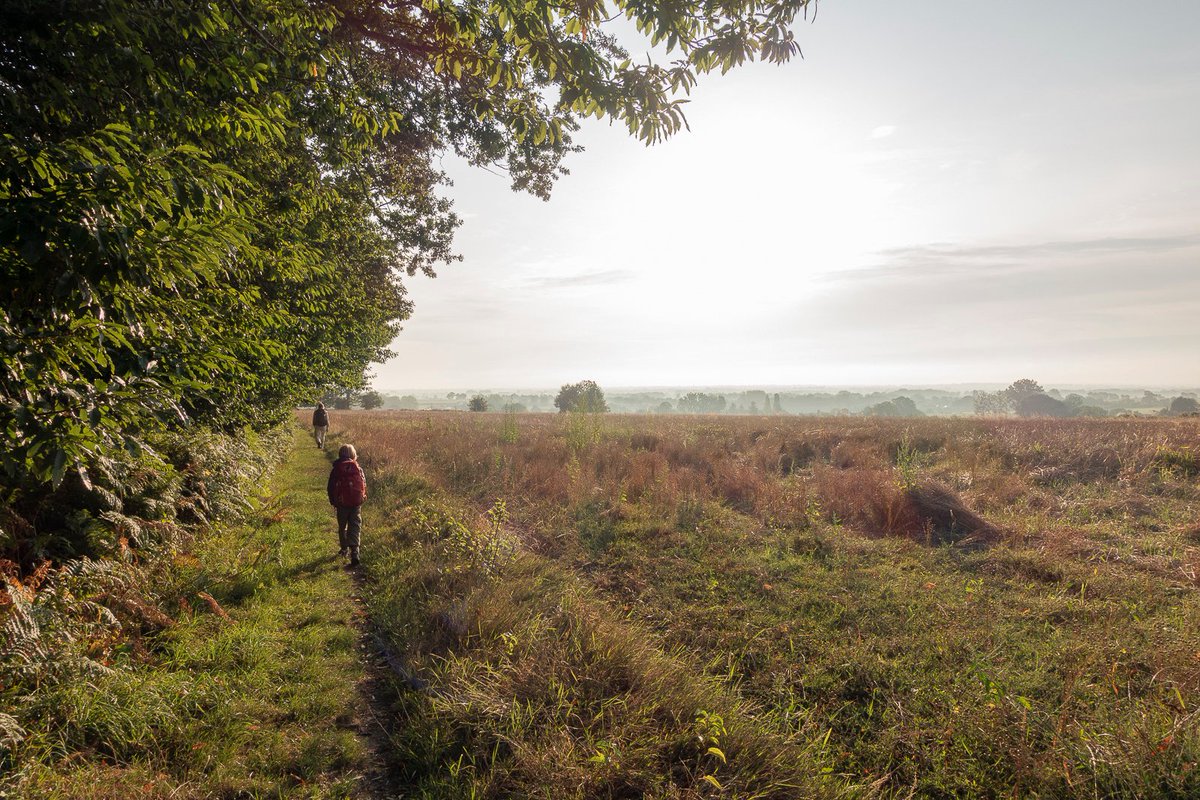 Nouvel article sur le blog où je fais le bilan de notre première grande randonnée en famille sur les sentiers bretons. #Bretagne #Randonnée #GR34 partispour.com/randonnee-au-l…