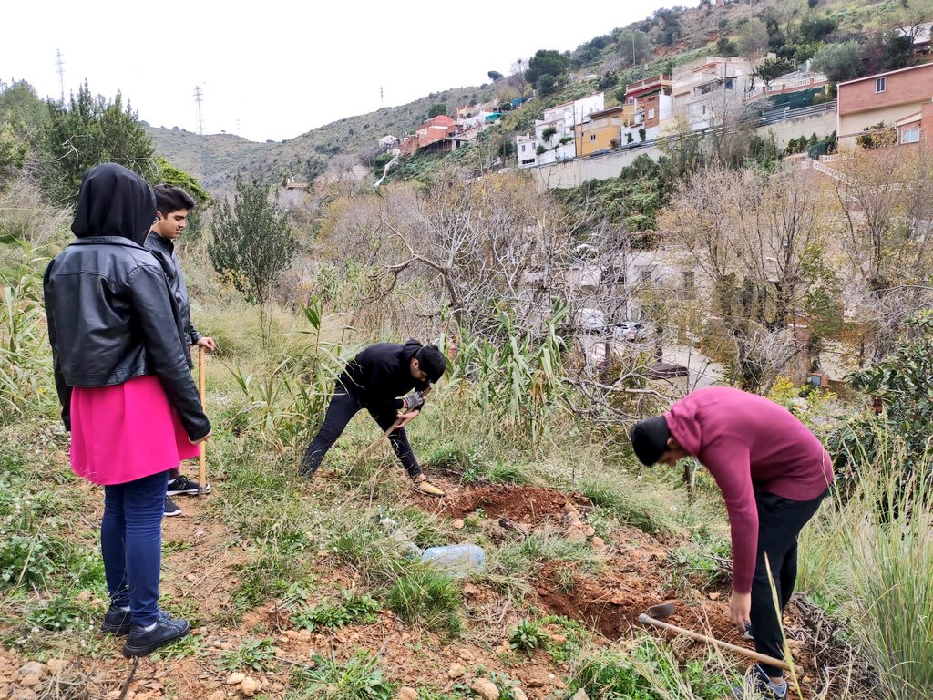 Estimem Font del Gos tweet media