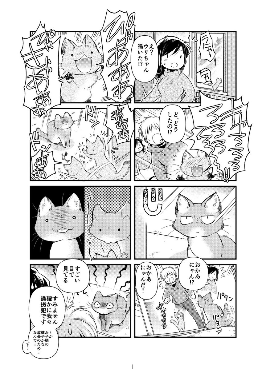 【CM】12月16日発売の雑誌『ねことも2月号』に「ちたにゃんがきた!」の最新話が掲載されました。保護直後に病気が見つかって治療中の子猫とちったんのエピソードをちょこっとだけ。どうぞよろしくお願い致します?(*'∀`*) 