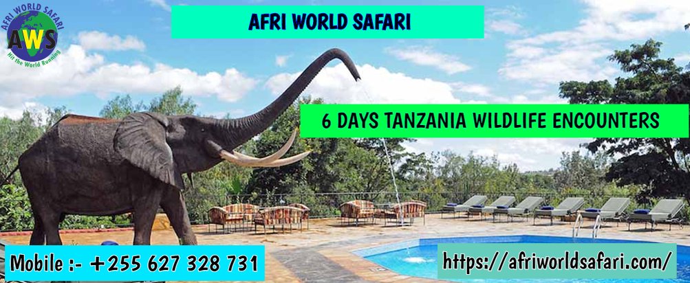 #Tanzania offers excellent #wildlife viewing. 
#tanzania #wildlife #adventures #safari #nationalparks #tanzaniawildlife #nature #africansafari
#bestssafariinafrica #photo #love #animallovers

Visit us @ afriworldsafari.com