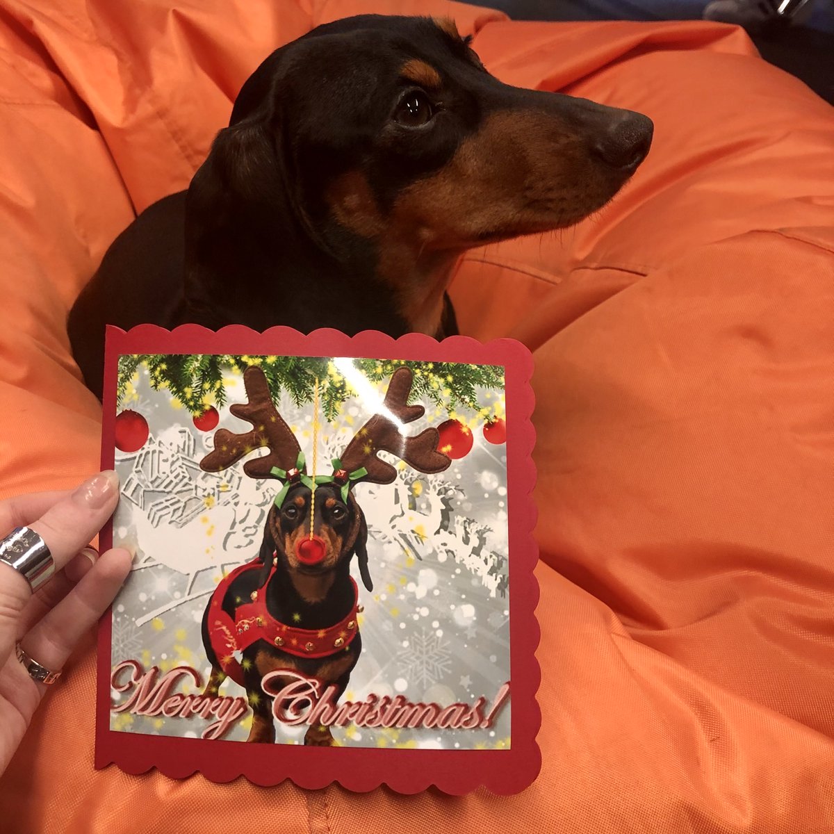 Maybe the best Christmas card we've received so far 🎄