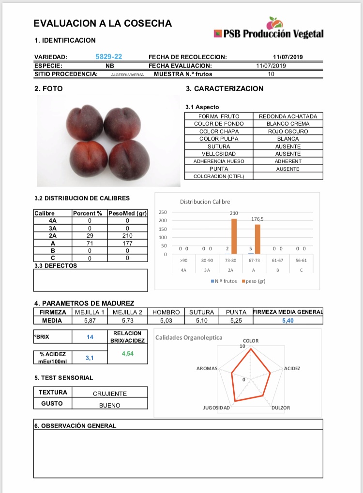 PSB Producción Vegetal tweet media