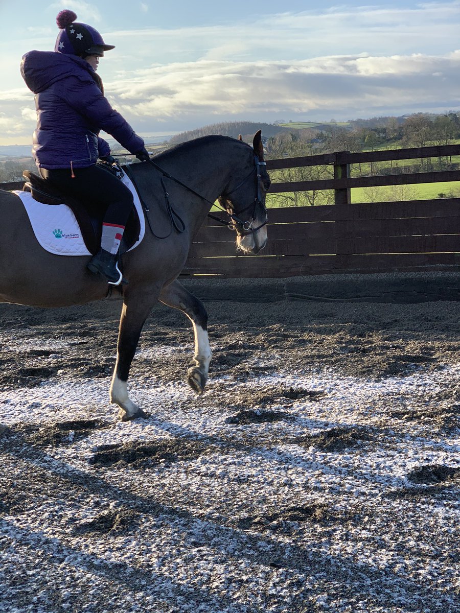 Chilly 🥶 morning but felt so good to ride after a break because I was poorly. Scooby was a good boy. 💕🐴 Practising for next year    <a href="/ParaDressage/">Paradressage News</a> <a href="/RDAnational/">Riding for the Disabled Association (RDA)</a> <a href="/BEquinevets/">Beningbrough Equine</a> @CNG_Ltd