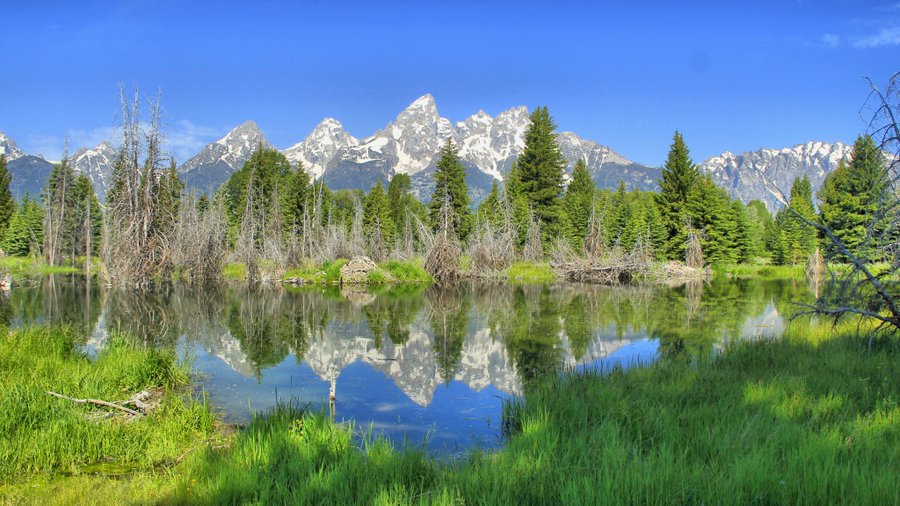 View image on Twitter