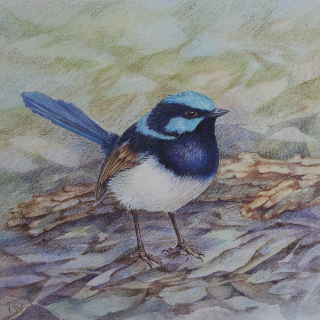 NatureArt2017's tweet photo. Need a special gift for someone in your life? Select from our exciting art classes inspired by nature and get 10% off for bookings by 21 December! Use code XMAS2019 at checkout: https://t.co/Bkep6SA1Xa
#artclasses #nature #artworkshops #illustration #watercolour #drawing https://t.co/cGO9hzPWG0