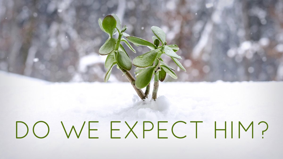 montrosechurch's tweet image. It’s so startling when God shows up - especially when we have been waiting awhile. In today’s devo for #adventday15, Pastor Dave shares how often in spite of our preparations, like Zechariah, we are still startled when God shows up. bit.ly/mcadvent2019-d… #mcadventdevo2019