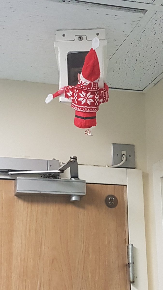 Ward7Wmh's tweet photo. 🎼Someone's knocking at the door, somebody's ringing the bell🎶
We can see you #Ward7Elfie 
#WhosDoingThisRiskAssessment https://t.co/hXEFUald8J