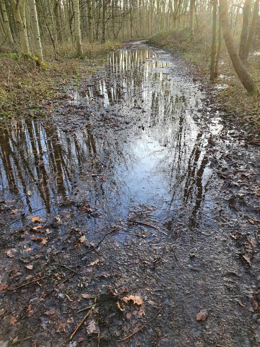 So where will all this water go when houses and roads are built across Carrington Moss???