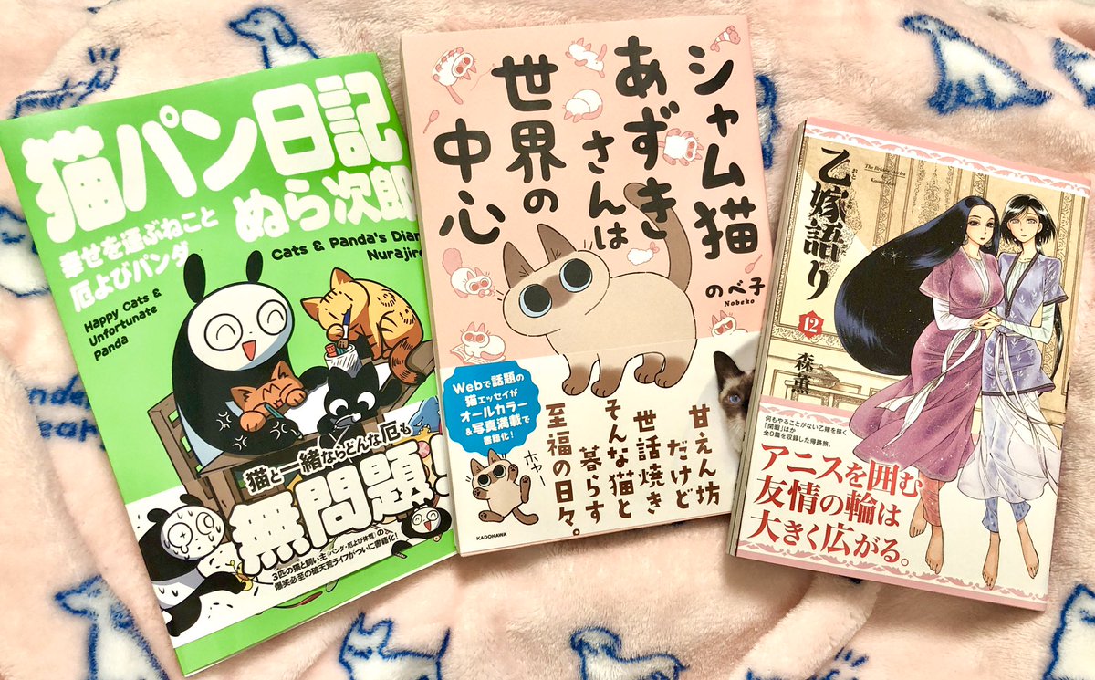 ぬら次郎さんの『猫パン日記』とのべ子さんの『シャム猫あずきさんは世界の中心』と乙嫁語り新刊をゲッツォ 