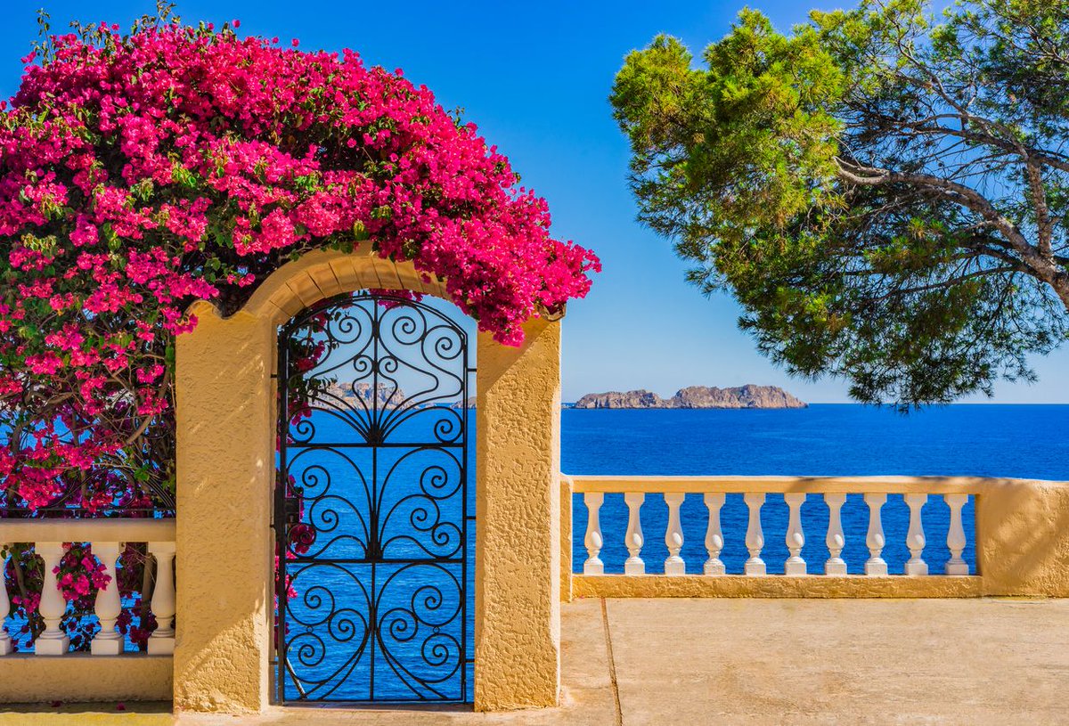 Spain_in_CH's tweet photo. #GoodMorningTwitterWorld 🤗
In Spain you can find #doors that open to spectacular #beauty ...😍
1- #Seville
2- #Córdoba
3- #Valldemossa
4- Beautiful sea view at the coast of #Majorca island
#VisitSpain #LovelyDoorsInSpain #XmasInSpain #FallInSpain #SpainTravel https://t.co/0hAnmyW4ws