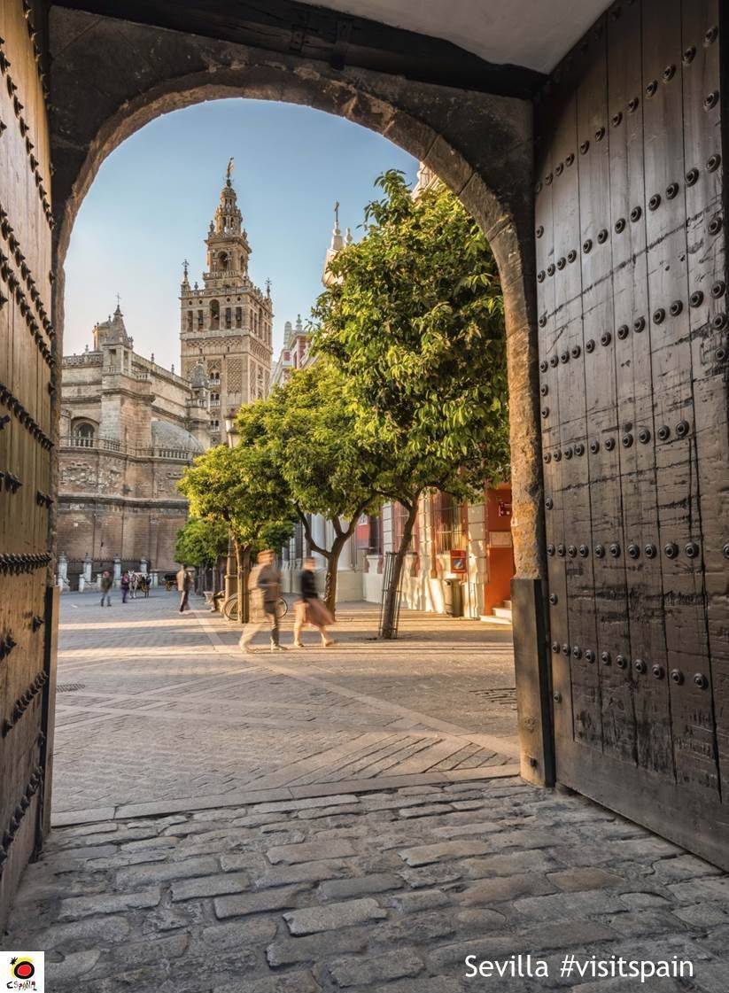 Spain_in_CH's tweet photo. #GoodMorningTwitterWorld 🤗
In Spain you can find #doors that open to spectacular #beauty ...😍
1- #Seville
2- #Córdoba
3- #Valldemossa
4- Beautiful sea view at the coast of #Majorca island
#VisitSpain #LovelyDoorsInSpain #XmasInSpain #FallInSpain #SpainTravel https://t.co/0hAnmyW4ws