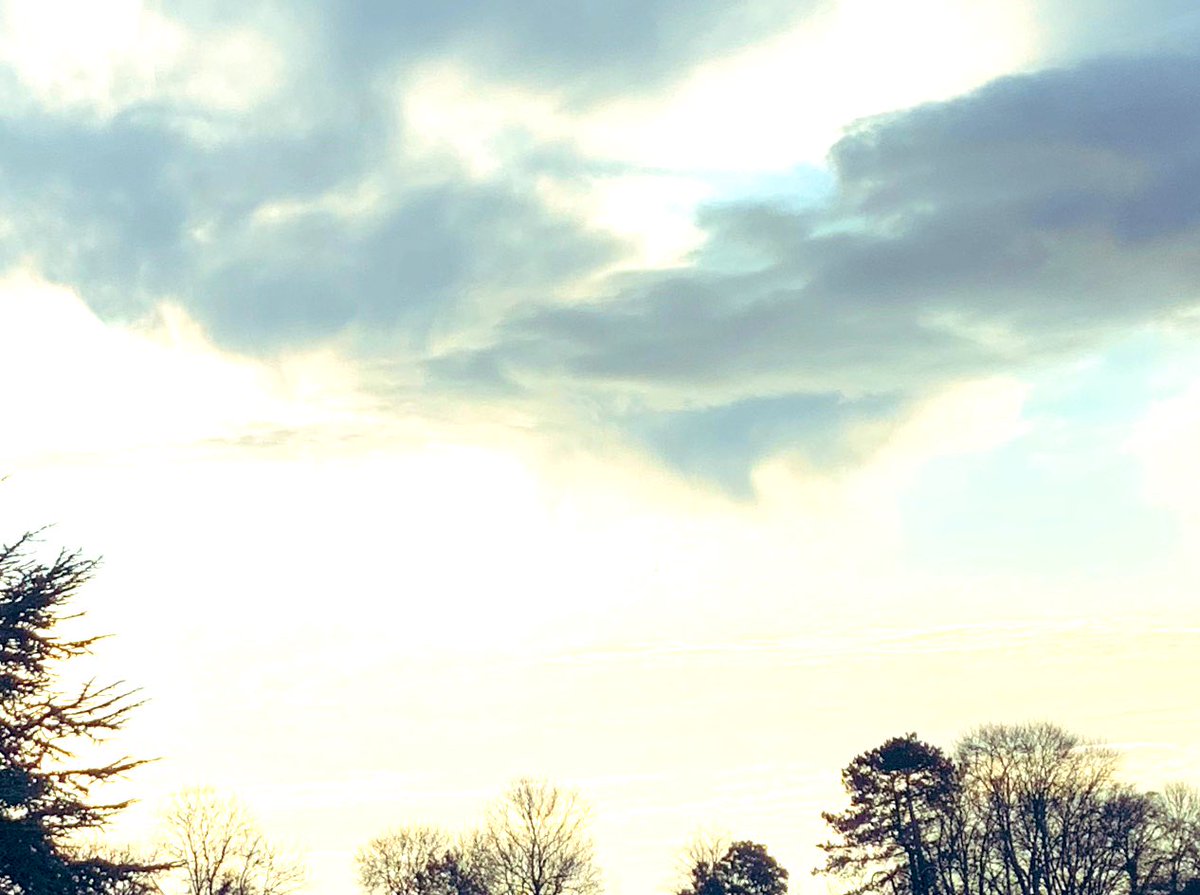 SkylarkArtist's tweet image. Lovely Little Virga Cloud...
#closeby #cloud
🌪