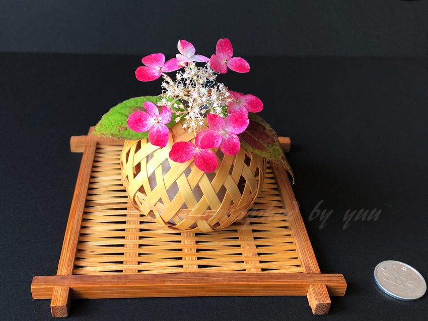 Twitter ನಲ ಲ 活け花 ಹ ಯ ಶ ಟ ಯ ಗ