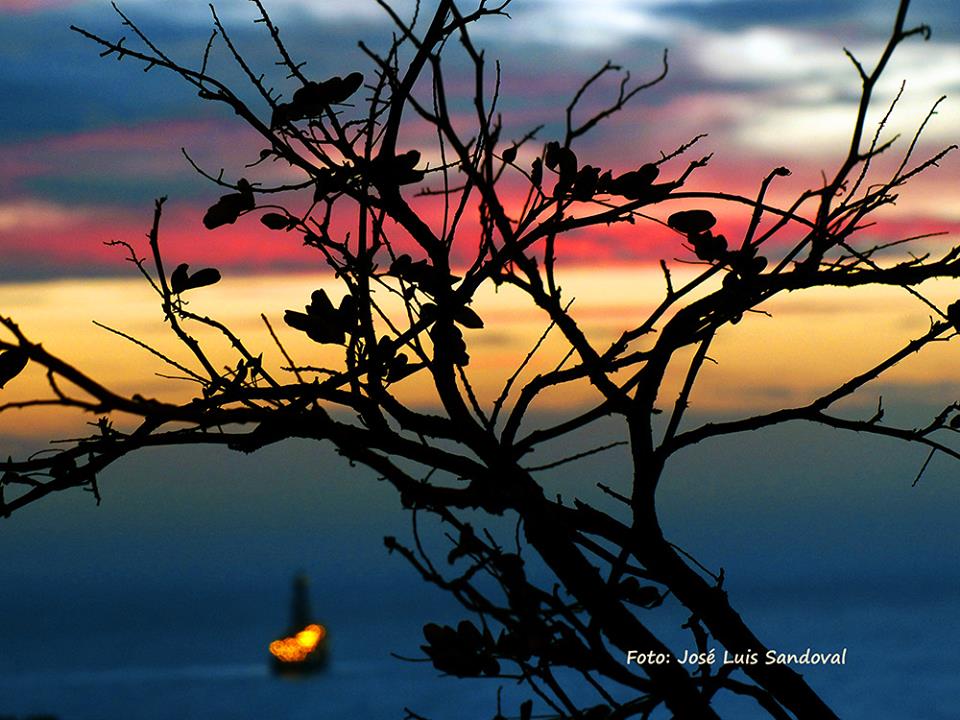 La Fotografía tweet media