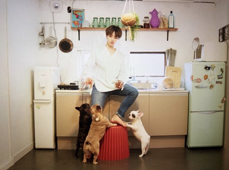 ukwonupdate's tweet image. ⭐️ ukwonupdate.carrd.co ⭐️