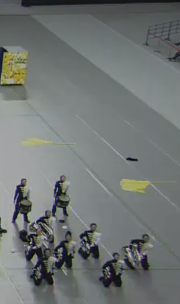 Found a cousin of <a href="/PlumeHenry/">Henry Clay's Plume</a> in Japan!