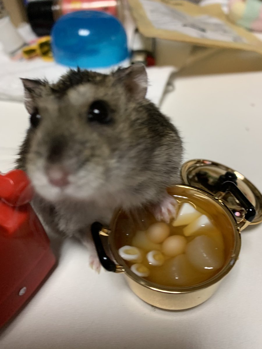 ハムちゃんず 最近のガチャは可愛い 欲しかった赤電話ガチャget バブ男君におでん屋さんになってもらいましたw 電話でちね 任せるでち 食べちゃダメw ハムスター好きと繋がりたい ジャンガリアンハムスター