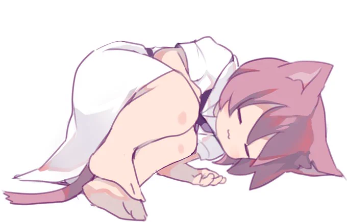 これはねこ 