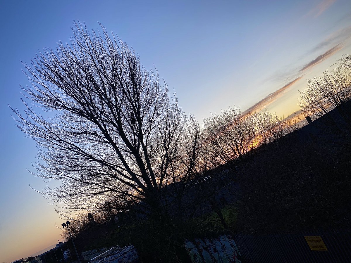 #DawnBreak in <a href="/DroghedaLouth/">Drogheda Louth</a> this am

Zoom in to see the 🕊enjoying the early morning flight!

#SundayMotivation 
#SundayMorning
#SundayMorning