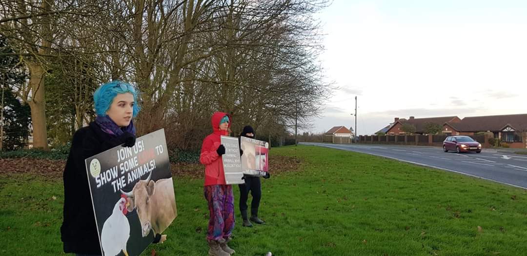 Lincolnshire Animal Save tweet media
