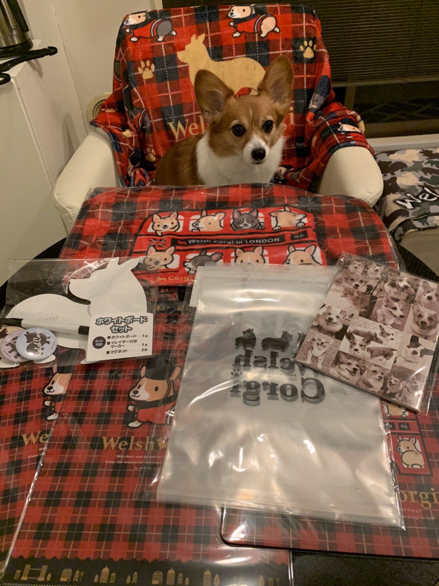 pomapo's tweet photo. 最近のお買物たち。

#コーギーストア https://t.co/oMSPwViVL1