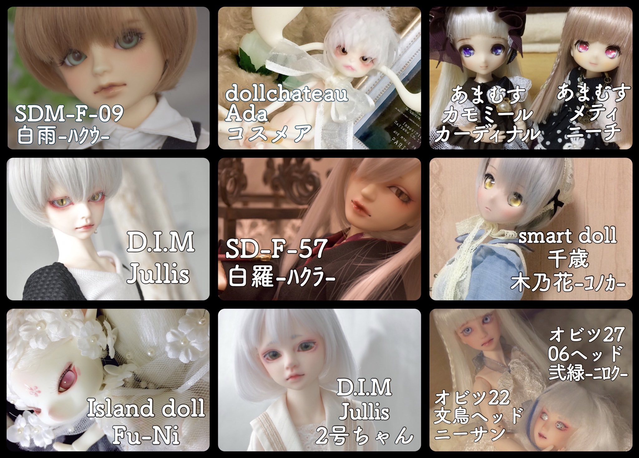 Dollzone ada 一括購入割引 - vidaclube.com.br