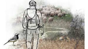 BosqueHabitado's tweet photo. .@radio3_rne Gracias al #ClubDeLaHojarasca nómada: @JuanCarlosRuizR @irulara @antoviradio @AndreaBriongos #JMSebastián #CharlieFaber y a @vetustamorla por fertilizar musicalmente la defensa de los caminos
#PiesEcologistasRadio3 @PICPublicos https://t.co/Gs5gInkKG9