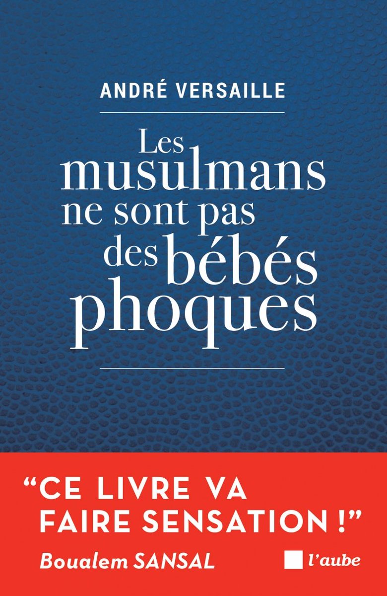 47) Je termine en vous suggérant quelques lectures.Merci à  @AgagBoudjahlat,  @jeannettebougra,  @LydiaGuirous,  @AVersaille !