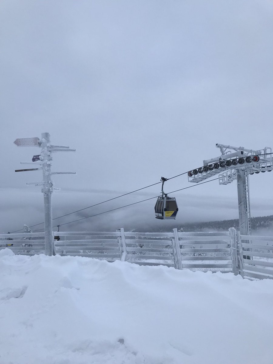 Gesh_sector_E's tweet photo. Сектор Е #шерегеш https://t.co/kJbXHugrfk